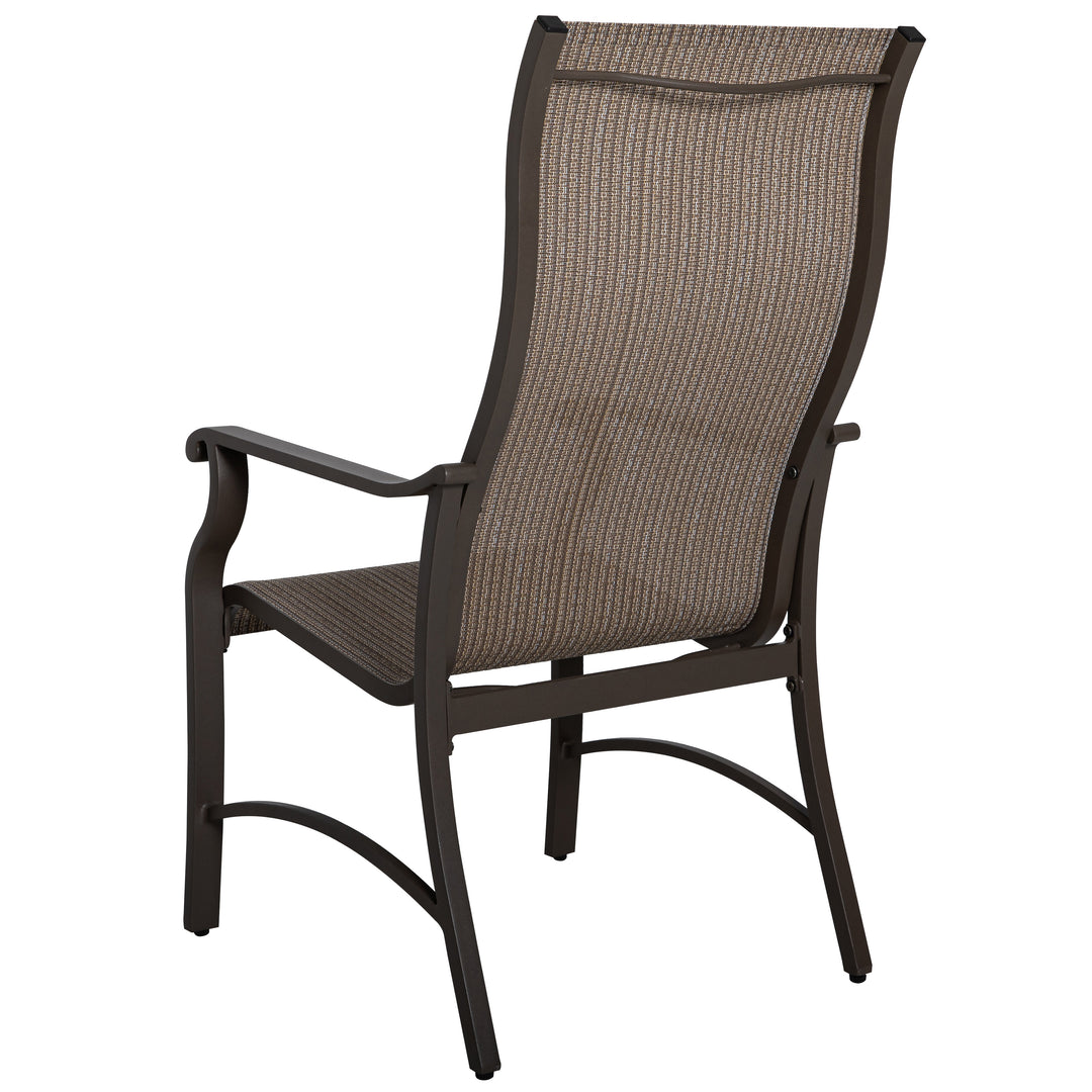 2-Piece Patio Dining Chairs Set